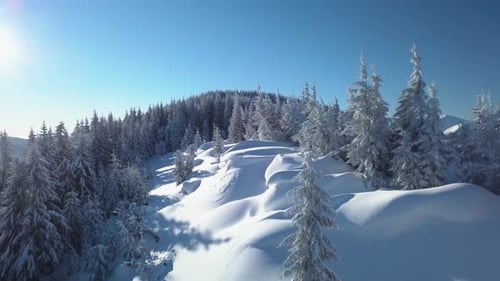 Flying Over the Forest and Mountains in Winter