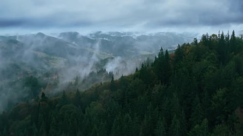 Mountains Rain Forest Weather Clouds Aerial Tree Autumn