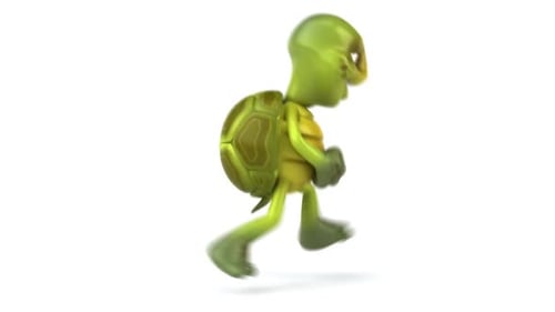 Fun cartoon turtle