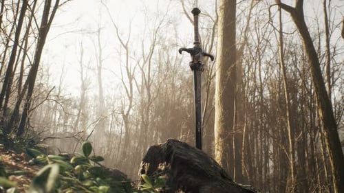 Medieval Sword In Stone