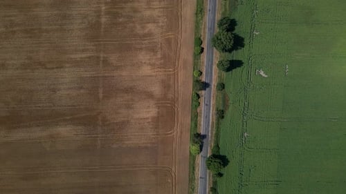 Drohnen-Luftaufnahme der Weizenernte, Weizenfeld-Hintergrund am Sonnentag