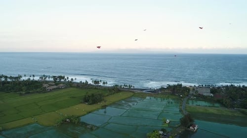 Kites Fly on the Ocean Shore Near the Rice Terraces in the Evening