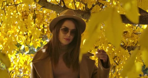 Charming Young Caucasian Girl in Sunglasses and Hat Posing in Sunlight in the Autumn Park. Beautiful