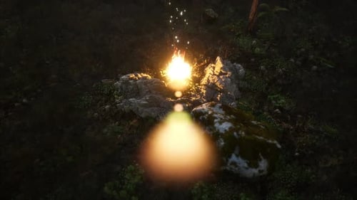 Campfire at Mountain Rorest at Night