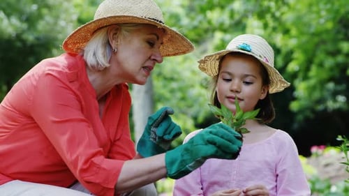 Grandmother and granddaughter gardening in the park