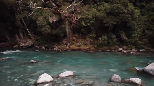 Wasserstrom im Regenwald