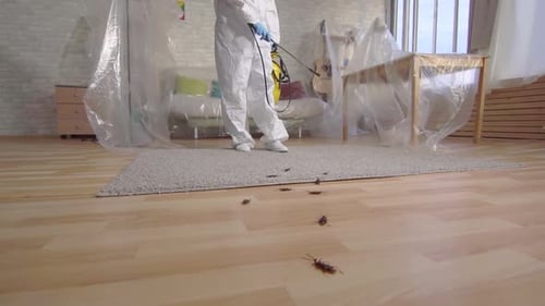 Schädlingsbekämpfer mit Sprühgerät steht zu Hause Slow Moconcept der Desinfektion von Räumlichkeiten