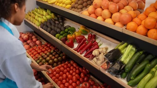 Grocery Store Stand with Fresh Organic Vegetables