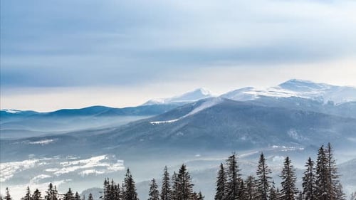 Winter Landscape of Snowy Mountains and Pine Trees