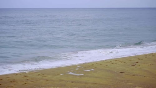 Powerful Wave Breaks Along the Shore