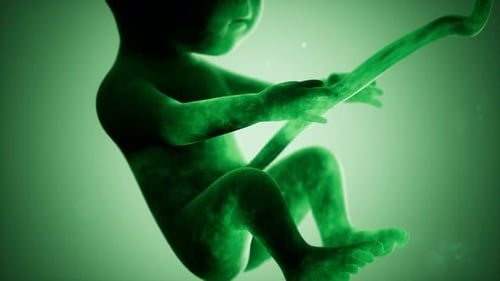 Animation médicale 3D d'un foetus humain