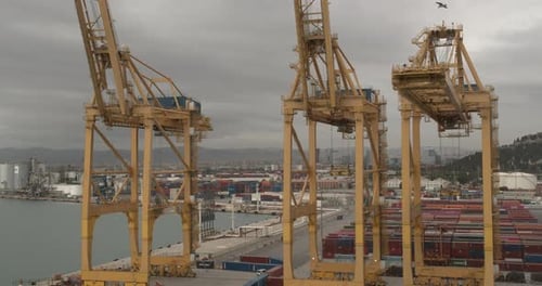 Aerial View. Seaport and Loading Docks at the Port with Cranes and Multi-colored Cargo Containers.