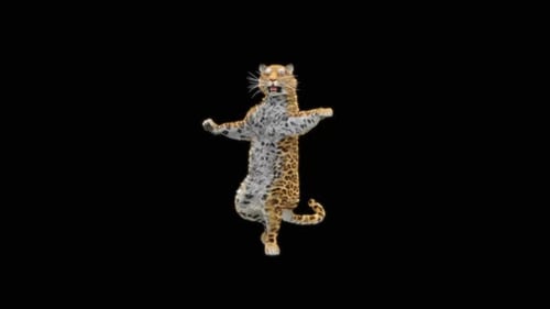 Leopard Dancing HD