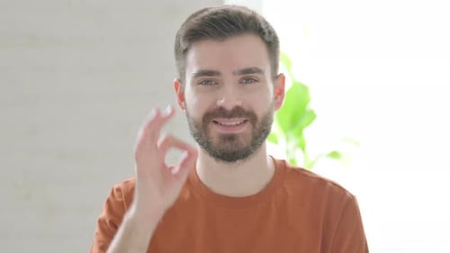 Bearded Adult Gives Approval With Okay Gesture