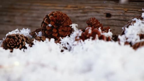 Pine Cones in Snow on Rustic Wood