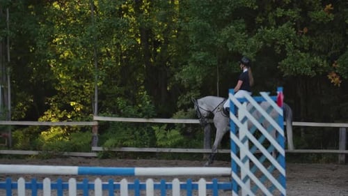 Back View of Rider on a Horse