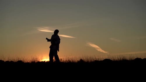 Martial Artist Silhouetted Training at Sunset