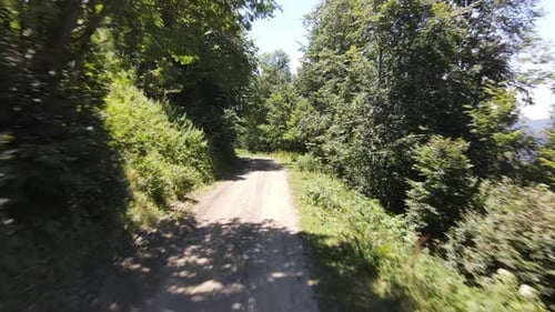 Nature Road