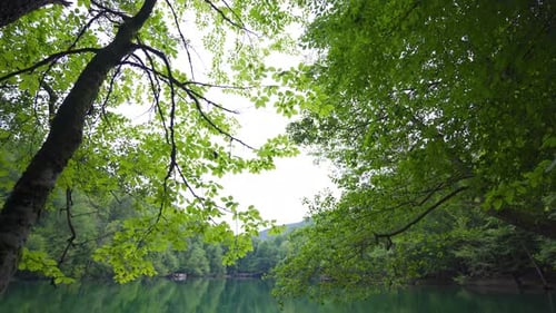 Nature landscape and lake.