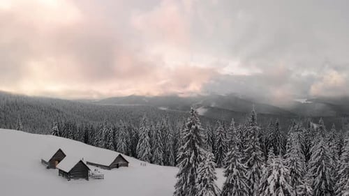 Winter Pine Forest and Cabin Hut at Sunrise