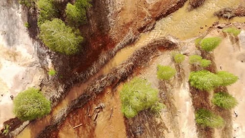 Lifeless Orange Toxic Lake Near Green Trees