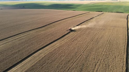 Combine Harvester Harvests In The Field
