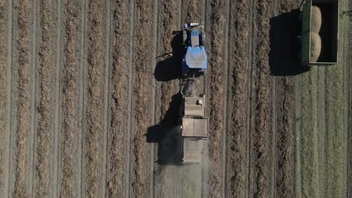 Luftaufnahme des Traktors, der Erdnüsse erntet