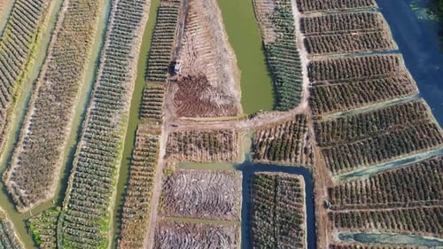 Drone view excavator cultivate the land