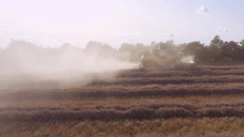 Drone Shot Of Combine Harvester Harvesting Crops
