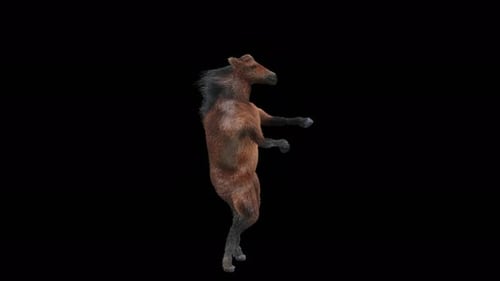 Dancing Cartoon Horse Creature Animation with Alpha Channel