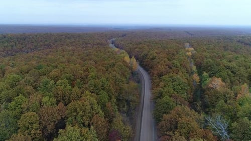 Country Highway Country Road Crosses a Beautiful Autumn Forest