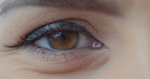 Macro Close-up Brown Woman’s Eye. Human Eye, Eyelash, Eyelid, Brown Iris, Face. Natural Beauty.