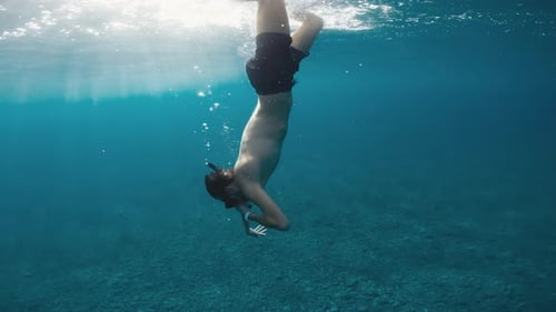 Exploring the Ocean Underwater with Mask and Fins