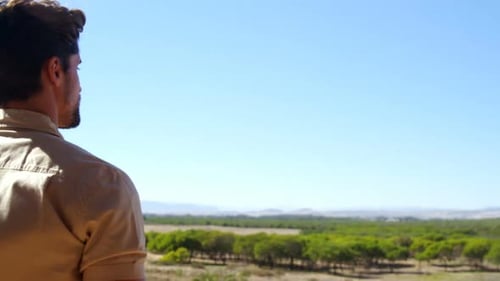 Vue arrière d'un homme regardant la vue