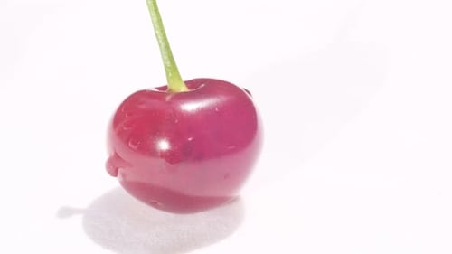 Glossy Red Cherry with Green Stem Close-Up