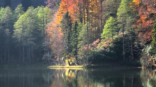 Reflection of Autumn Colors on the Lake Surface in the Fantastic Forest