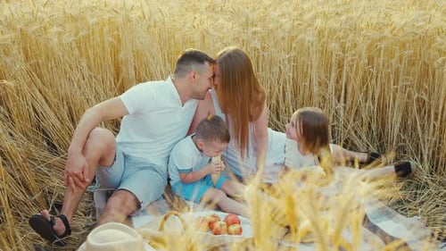 Romantic Moments at Family Picnic in Field
