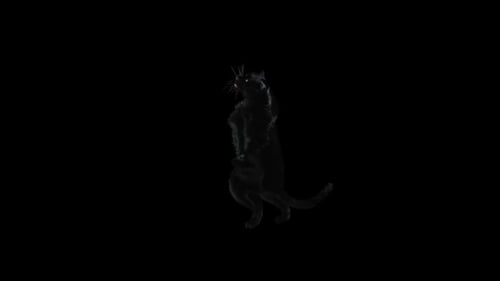 3D Animated Black Panther Standing and Looking Around