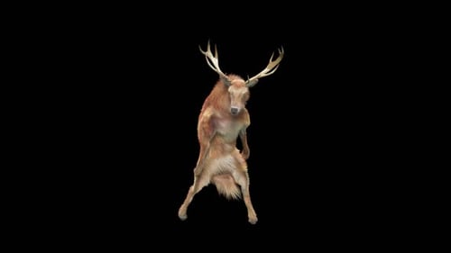 Animated Deer Character Performing Dynamic Dance Moves