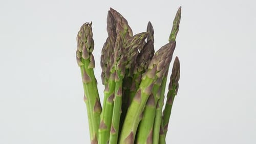 Spargel 37