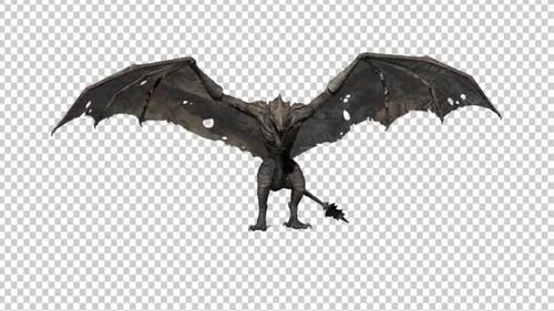 Drachen Landing