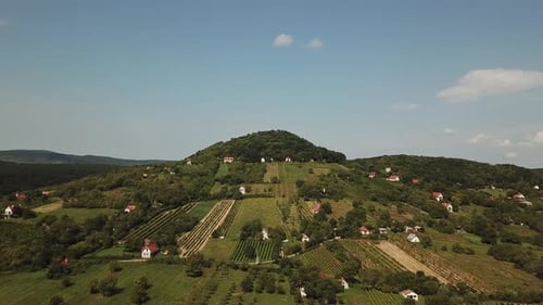 Wine Country