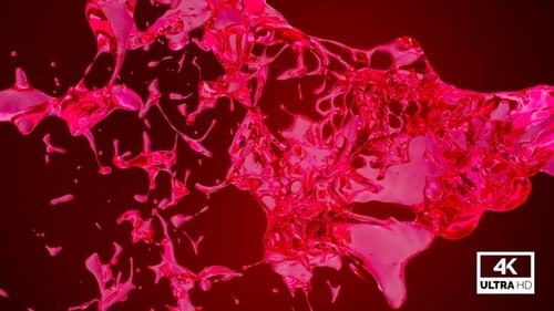 Dynamic Pink Liquid Splash Transition with Alpha Channel