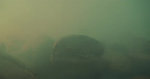 Closeup Shot of Roasting Coffee Beans Filmed in a Dark Key the Smoke Emanating From the Roasting of
