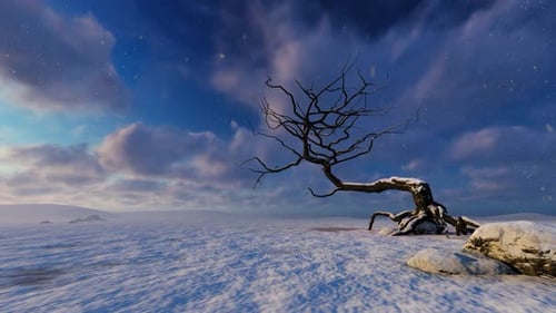 Alter Baum in einer verlassenen Gegend