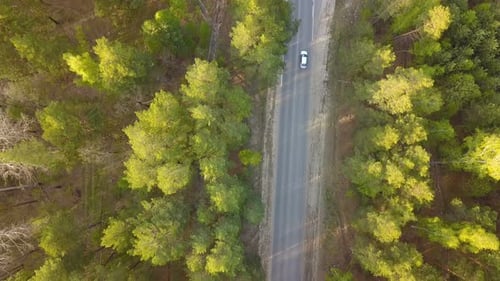 Car From Above