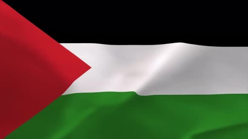 Waving Palestinian Flag Seamless Loop Animation