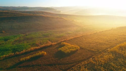 4K : Aerial view flight over the beautiful field in sunset. Countryside scenery.