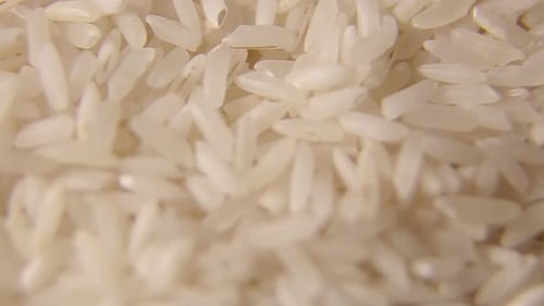Background of Long White Rice
