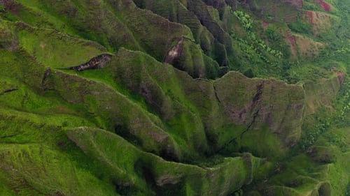 Beautiful Exotic Nature of Hawaii